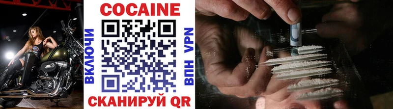 Купить где  Трёхгорный  COCAIN Fish Scale 